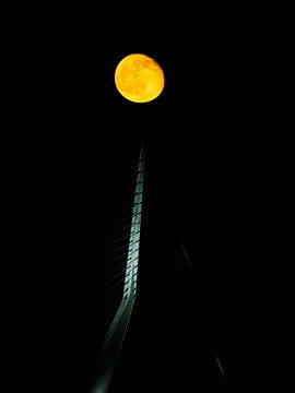 Moonrise over Erasmusbridge van Kimo Grashuis