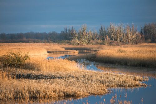 Un paysage d'hiver chaud