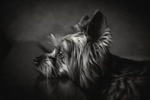 I have been waiting for you ...