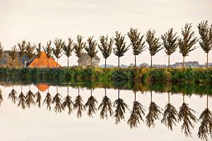 Arbres le long du canal circulaire d'un polder sur Frans Lemmens