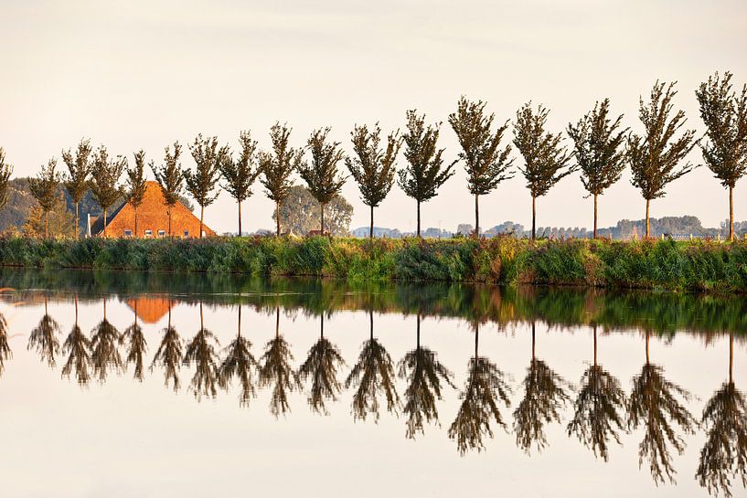 Arbres le long du canal circulaire d'un polder par Frans Lemmens