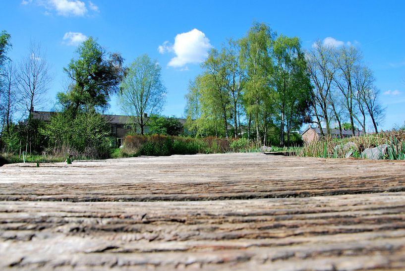 pad over sloot van Marten Wieringa