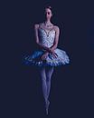 Ballet dancer in color standing 03 by FotoDennis.com | Werk op de Muur thumbnail