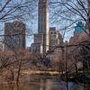 Vue de la 5e Avenue depuis Central Park, NYC sur Wijbe Visser