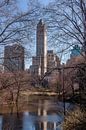 Zicht op 5th Avenue vanuit het Central Park, NYC van Wijbe Visser thumbnail