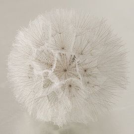 Ein Quadrat mit einem runden Flusenball in rustikalen Farben von Marjolijn van den Berg