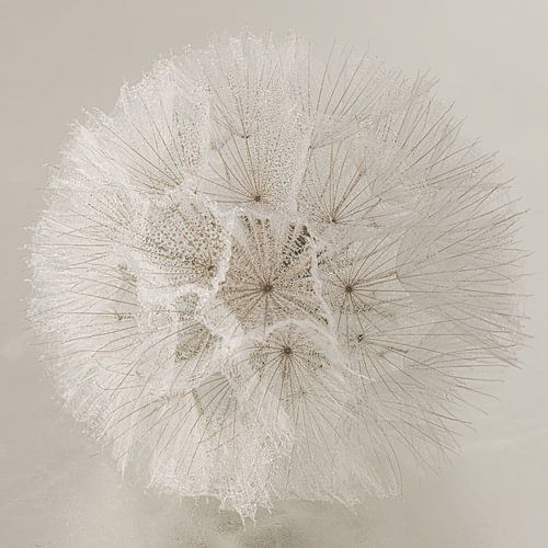 Een vierkantje met een ronde pluizenbol in landelijke kleuren