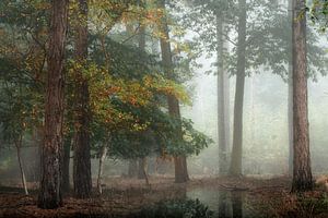 Misty Woodland V van Kees van Dongen