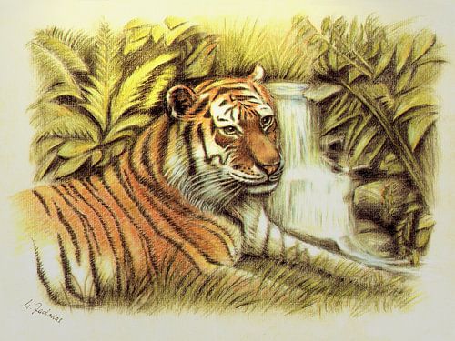 Tijger in het wild - Schilderij