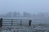 hek bij mist