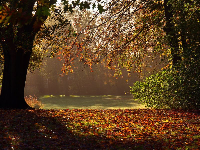 Plaine d'inondation 2 par Edgar Schermaul