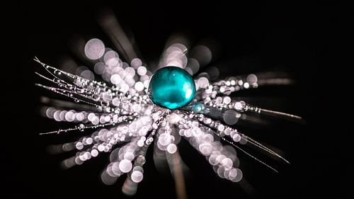 Une goutte bleue sur une peluche sur Bert Nijholt