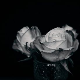 Roses in black and white von Marije Jellema