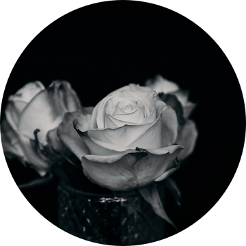 Roses in black and white van Marije Jellema