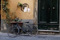 Old bike