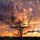 Tree Layers 6 by Dorothy Berry-Lound thumbnail