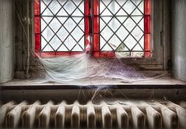 Vitraux encore la vie en décadence  sur Marcel van Balken