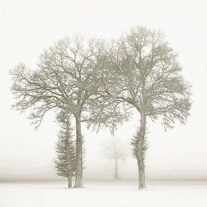 Winterzauber