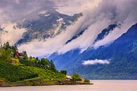 Hardangerfjord, Norway by Henk Meijer Photography thumbnail