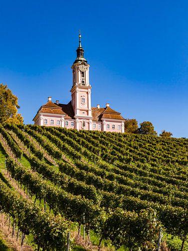 Bedevaartskerk Birnau aan de Bodensee