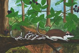 Young acorn mice out in the woods for the first time by Marjolijn de Winter