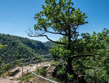 Chemin de randonnée dans le parc national du Harz en Allemagne sur Animaflora PicsStock