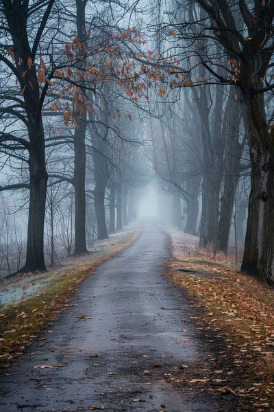 Misty paths by Poster Art Shop