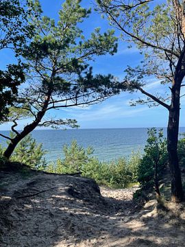 Die Ostsee von Anna Sasiadek