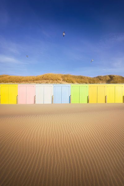 Sunny Days van Thom Brouwer