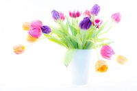 Tulpen in vaas