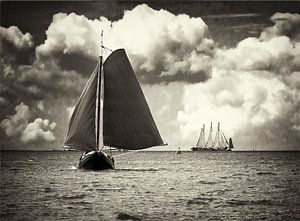 Zalmschouwjacht Welmoed op het wad tussen Ameland en Schier van Steven Boelaars