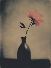 Flower in a Vase No. 10 by Studio Silver & Sepia