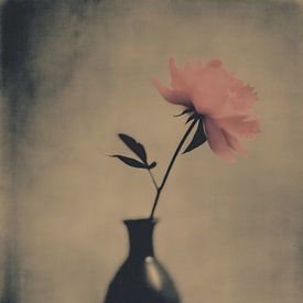 Fleur dans un vase n° 10 sur Studio Silver & Sepia