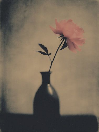 Fleur dans un vase n° 10