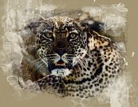 Der Leopard, der auf seine Beute lauert
