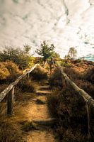 Posbank, Veluwe - trap met wolkenpartij