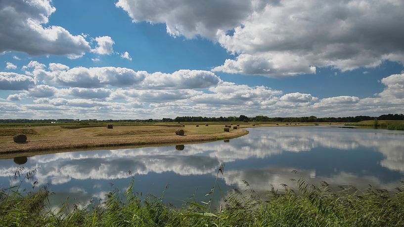 gemähte Festungswälle Festung Heusden 2 von Hans Janssen
