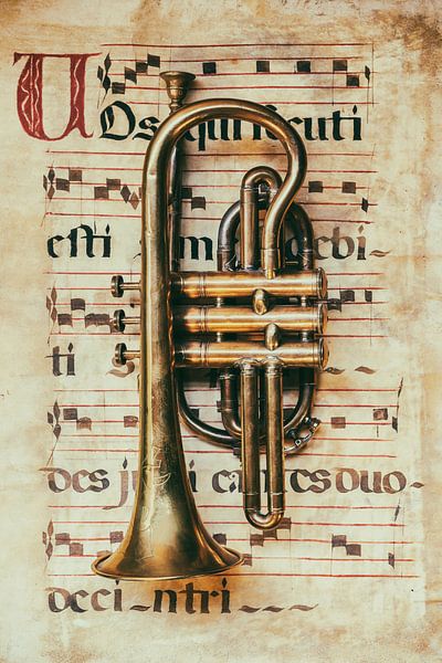 Ode aan Klassieke Muziek III van III van Martin Bergsma