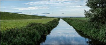 where the sky meets the water