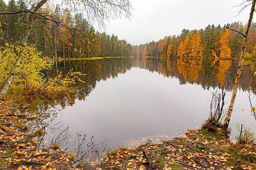 Landscape in autumn with lake and forest in Finland
