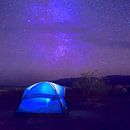 A thousand stars in the heart II by Mad Dog Art thumbnail