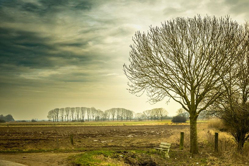 Der Ooijpolder bei Nijmegen von Maerten Prins