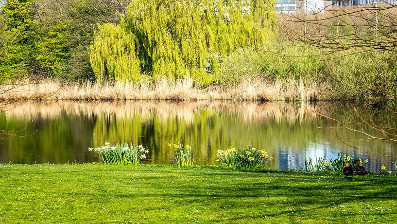 Amstel Park in der Morgensonne von Jaap Mulder