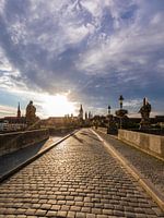 Alte Mainbrücke in Würzburg