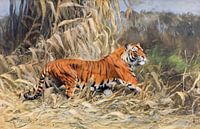 Tigre, Dans la jungle, Wilhelm Kuhnert par Atelier Liesjes Aperçu