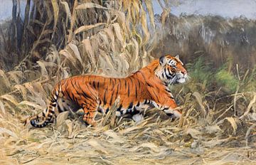 Tiger, Im Dschungel, Wilhelm Kuhnert von Atelier Liesjes