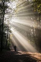 La solitude