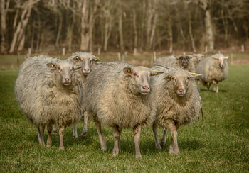 Samen op pad