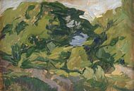 Landschap, Christiansø, Edvard Weie van Meesterlijcke Meesters thumbnail