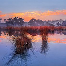 Zonsopgang met blauwe hemel en dramatische wolken weerspiegeld in een meer van Tony Vingerhoets